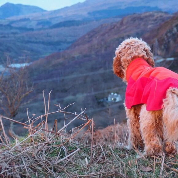 RUFFWEAR VERT JACKET WATERPROOF WINDPROOF Blue XXS - Picture 4 of 13